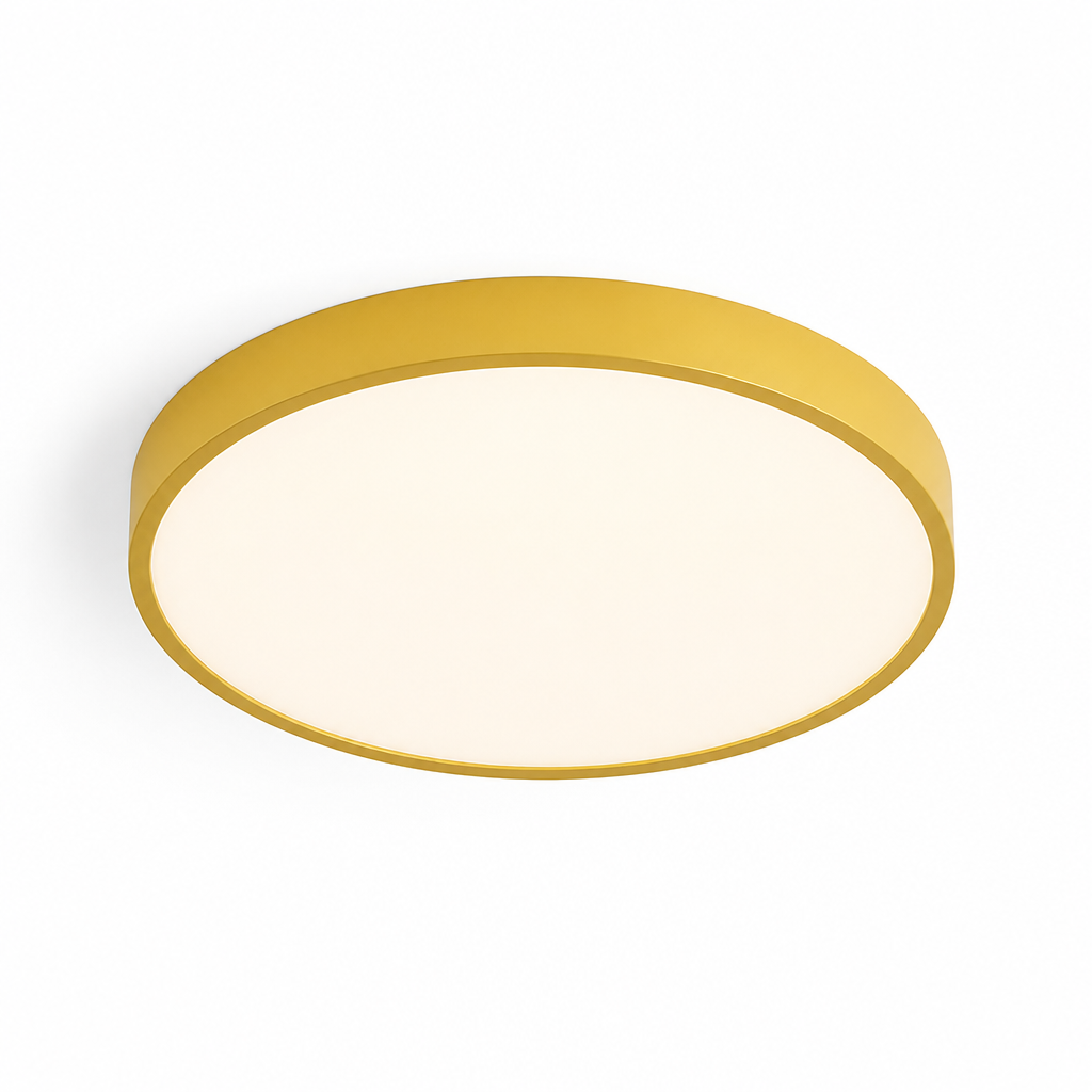 Ceiling Light Round Flush Mount LED Warm Neutral White