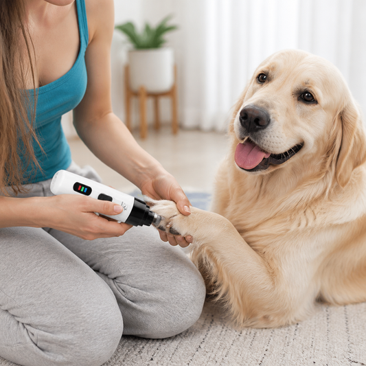 Pet Nail Grinder Ultra-Quiet USB Rechargeable 7-Hour Battery