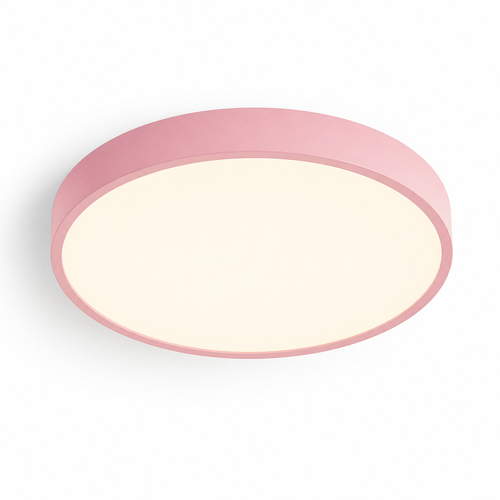 Ceiling Light Round Flush Mount LED Warm Neutral White