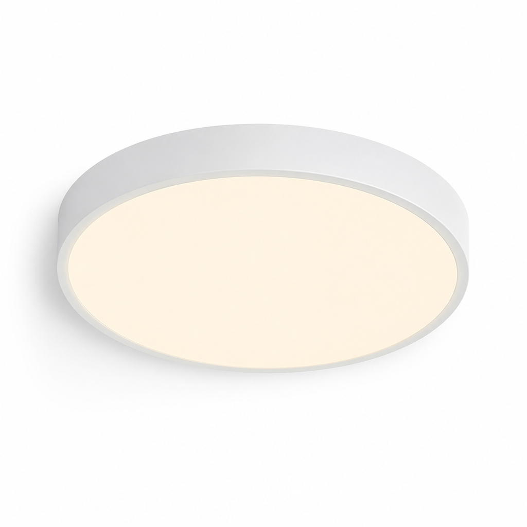 Ceiling Light Round Flush Mount LED Warm Neutral White