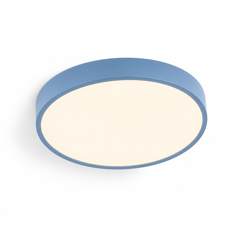 Ceiling Light Round Flush Mount LED Warm Neutral White