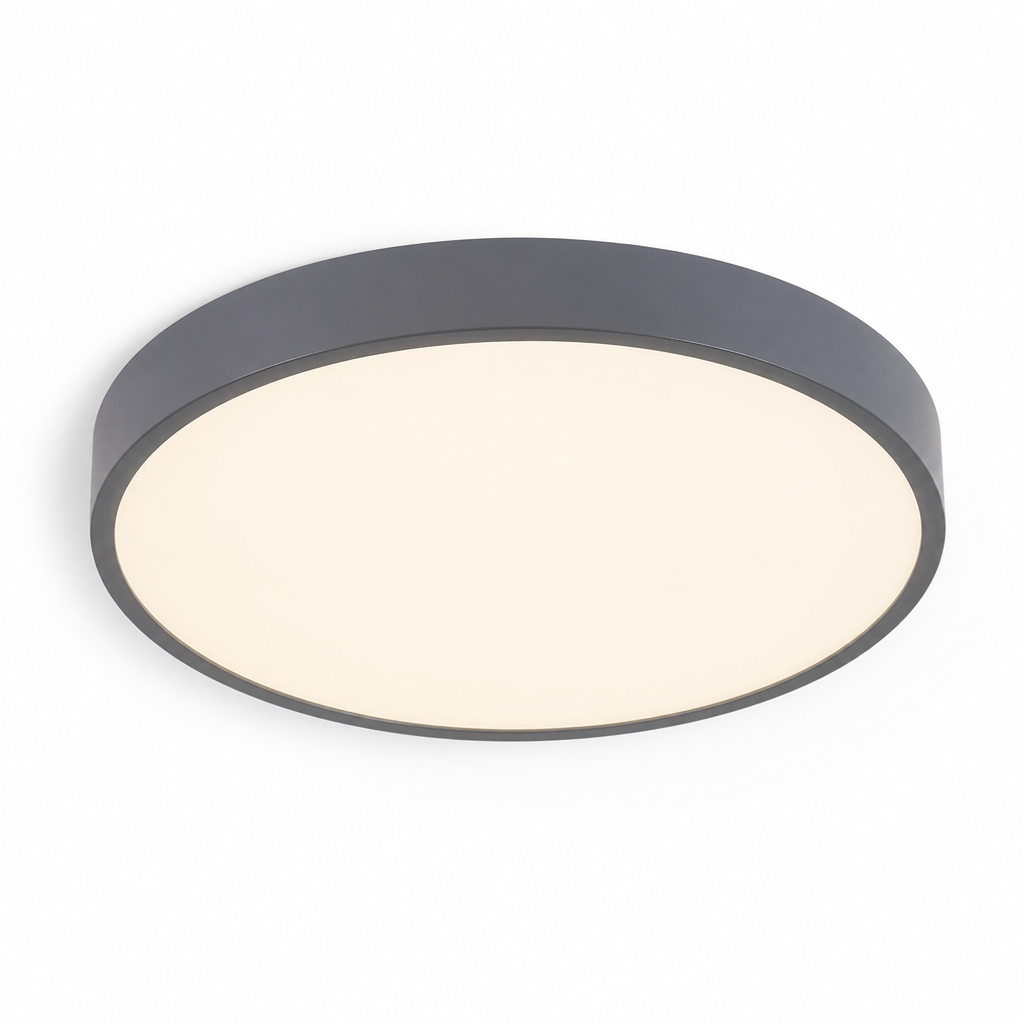 Ceiling Light Round Flush Mount LED Warm Neutral White