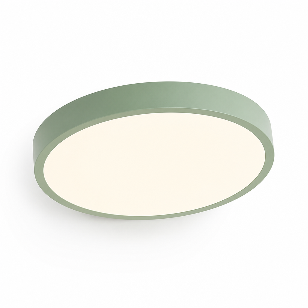 Ceiling Light Round Flush Mount LED Warm Neutral White